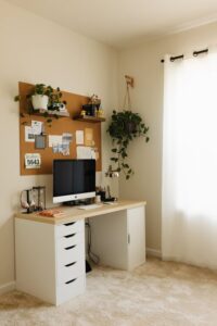 resized_101282